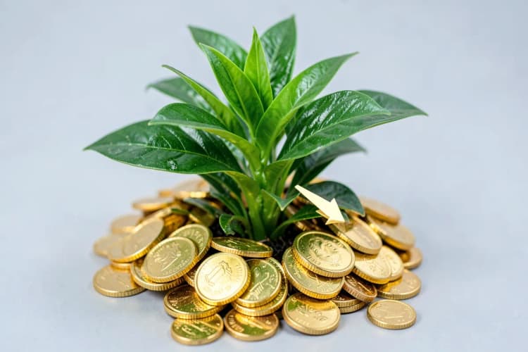 Uma planta verde crescendo em uma pilha de moedas de ouro, com uma seta apontando para cima.